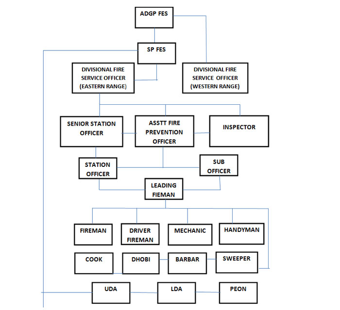 Organizational Structure Meghalaya Fire & Emergency Services